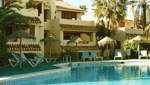 Las Palmeras Pool